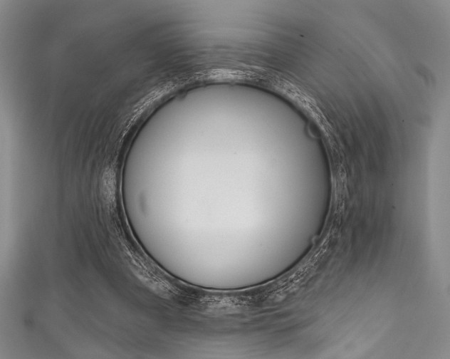 X0000111830297200907231028