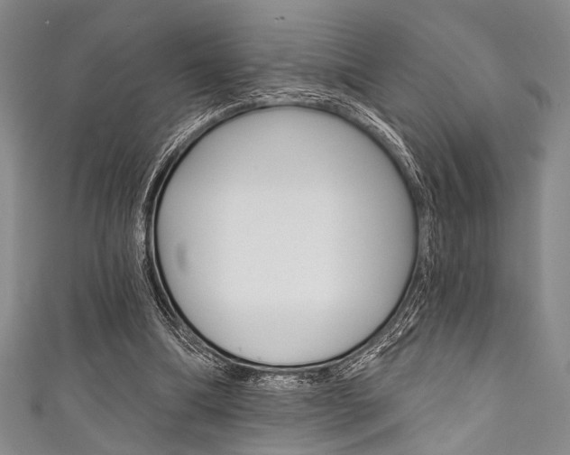 X0000111830298200907231028