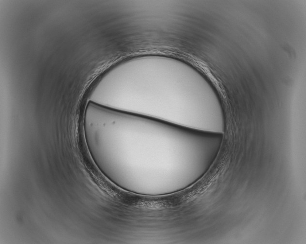 X0000111830299200907231028