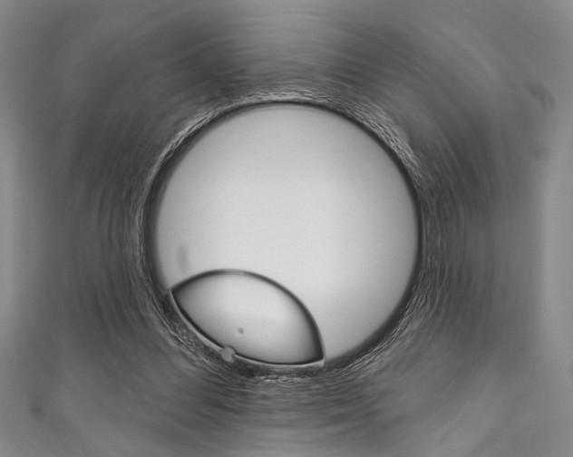 X0000111830300200907231028
