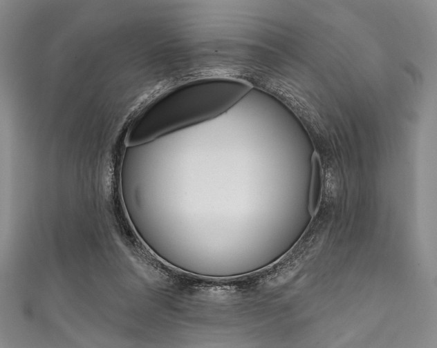 X0000111830304200907231028