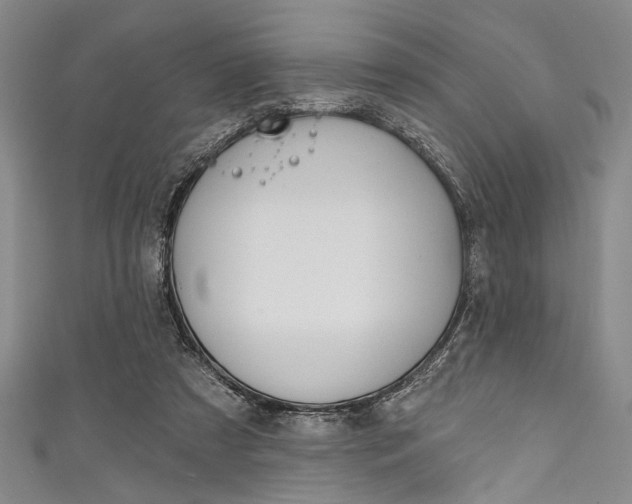 X0000111830305200907231028