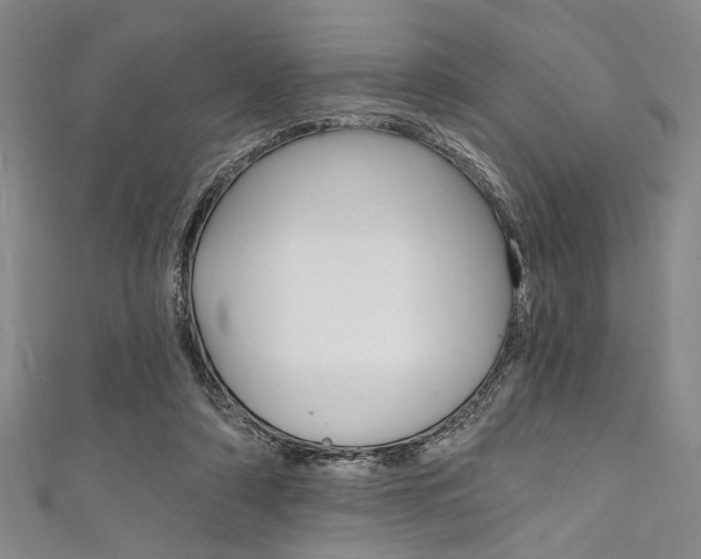 X0000111830306200907231028