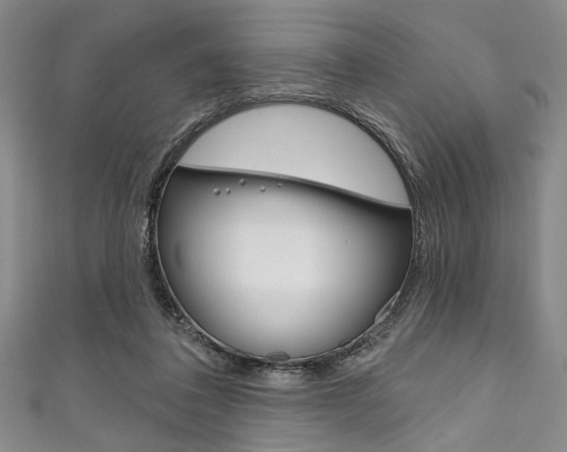 X0000111830308200907231028