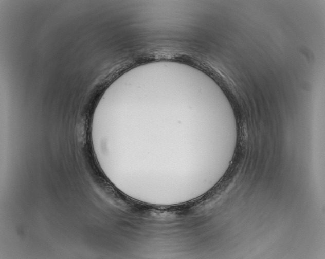 X0000111830311200907231028