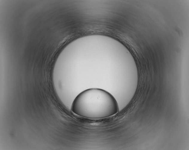 X0000111830312200907231028