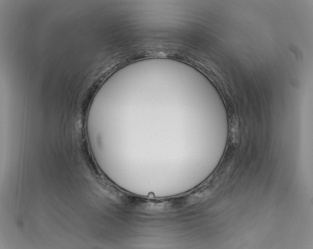 X0000111830314200907231028