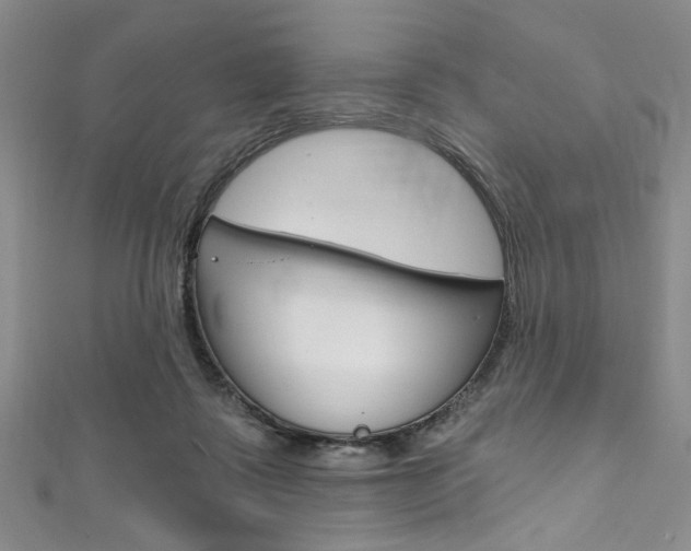 X0000111830315200907231028