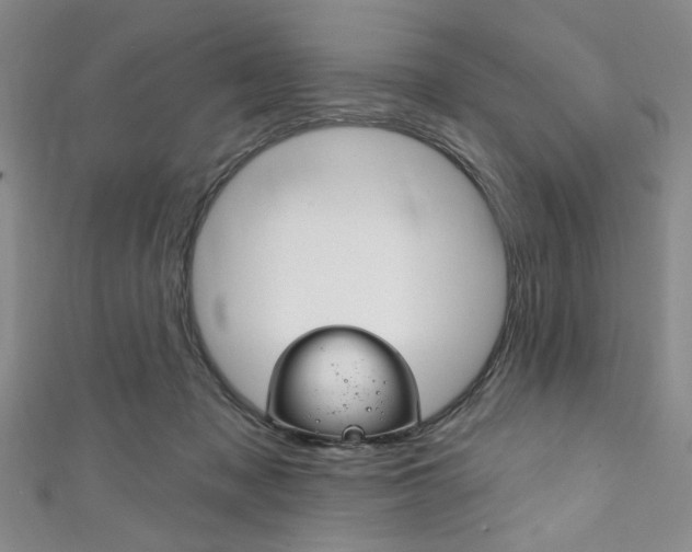 X0000111830317200907231028