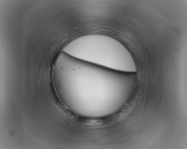 X0000111830319200907231028