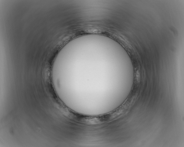 X0000111830322200907231028