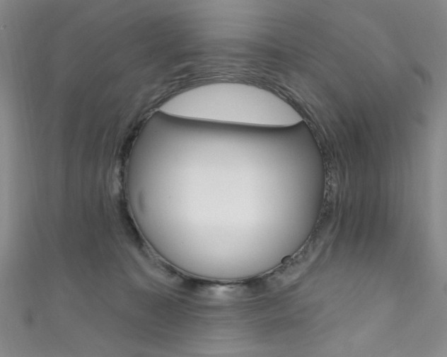 X0000111830323200907231028
