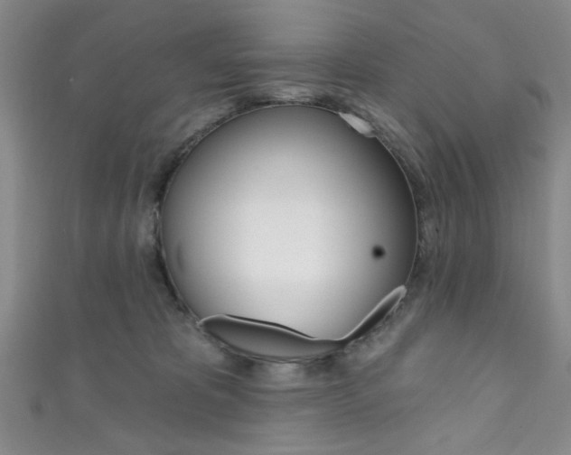 X0000111830325200907231027