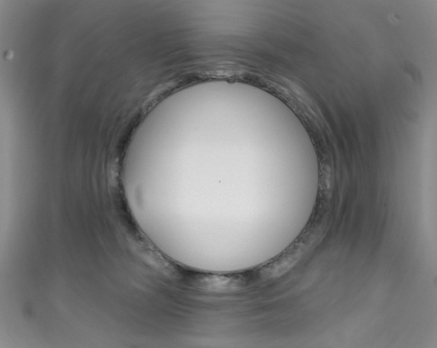 X0000111830326200907231027