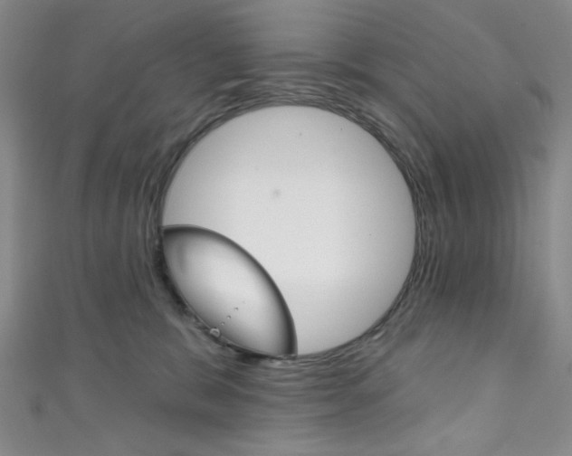 X0000111830327200907231027