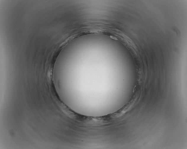 X0000111830329200907231027