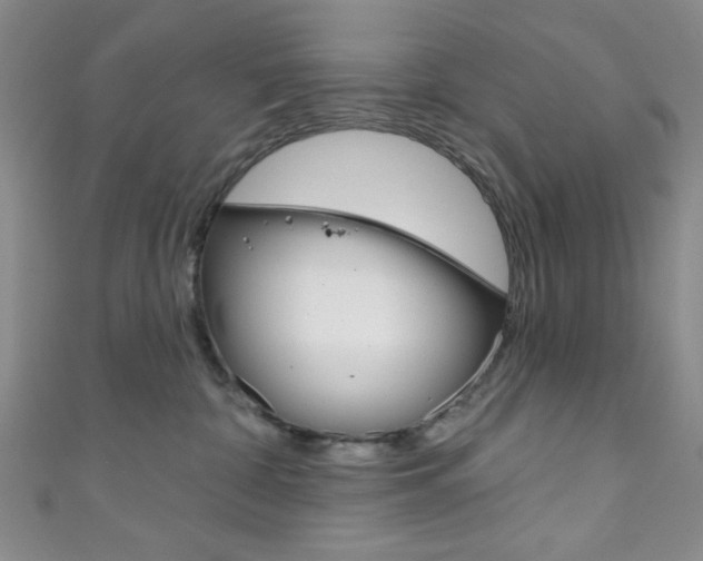 X0000111830332200907231027