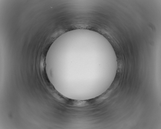 X0000111830334200907231027