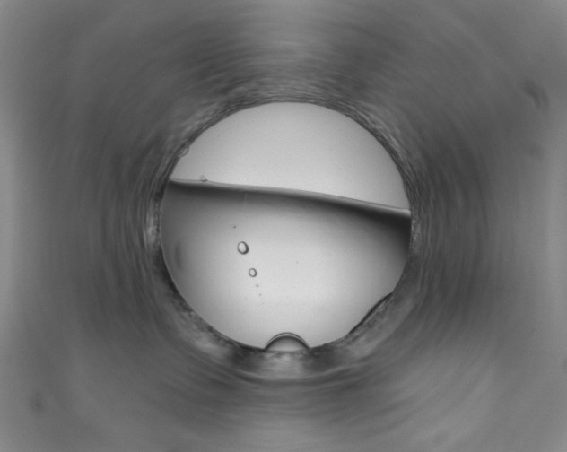 X0000111830335200907231027