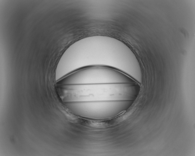 X0000111830336200907231027