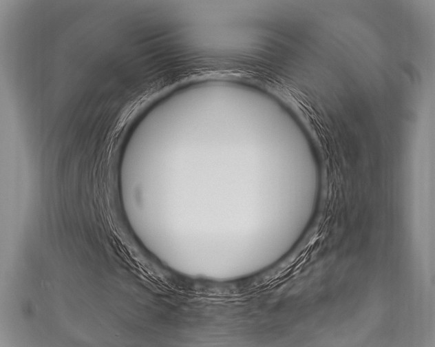 X0000111830337200907231027