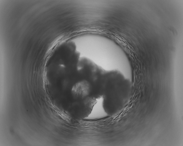 X0000111830339200907231027