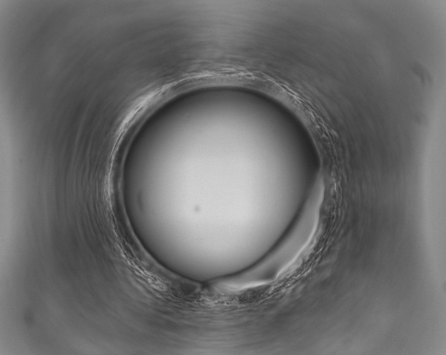 X0000111830340200907231027