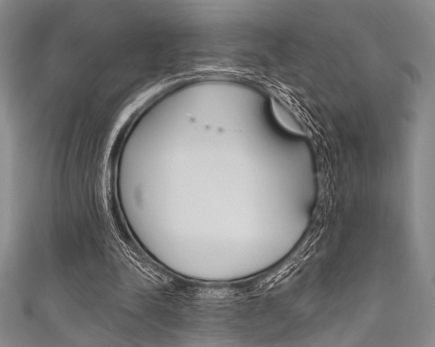 X0000111830342200907231027