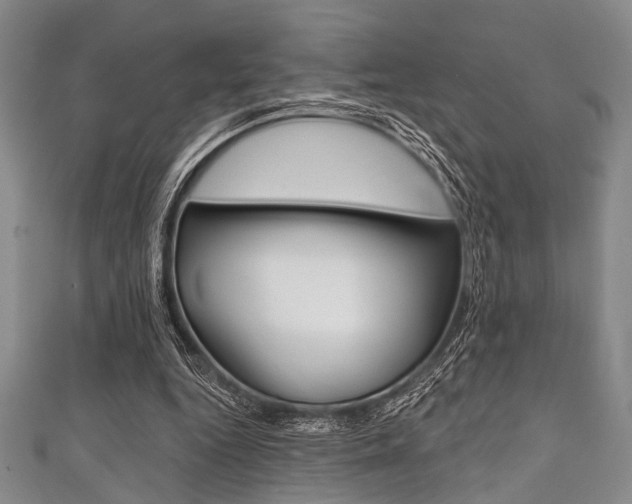 X0000111830344200907231027