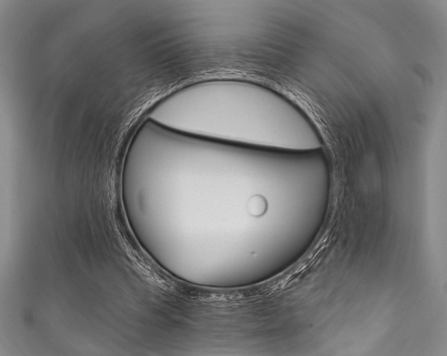 X0000111830345200907231027
