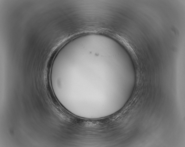 X0000111830346200907231027