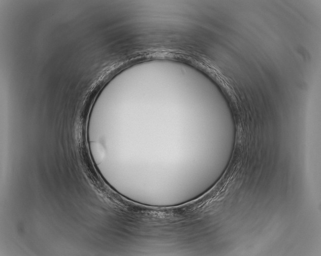 X0000111830347200907231027