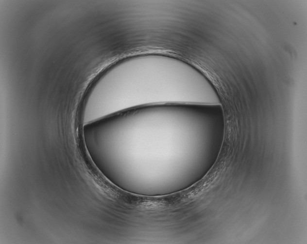 X0000111830350200907231027