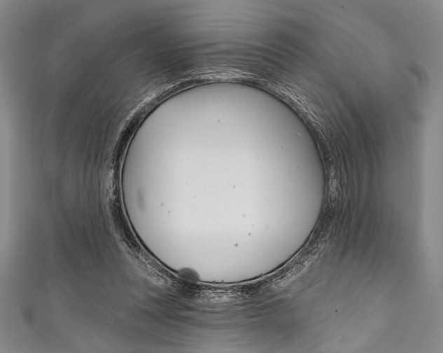 X0000111830351200907231027