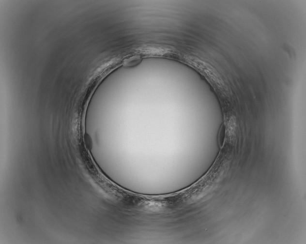 X0000111830352200907231027