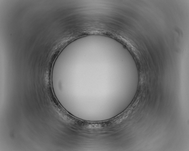 X0000111830353200907231027