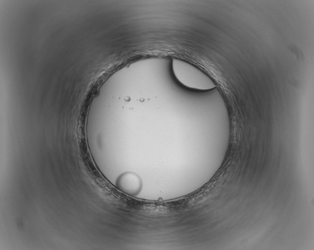 X0000111830354200907231027