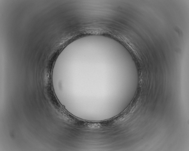 X0000111830355200907231027