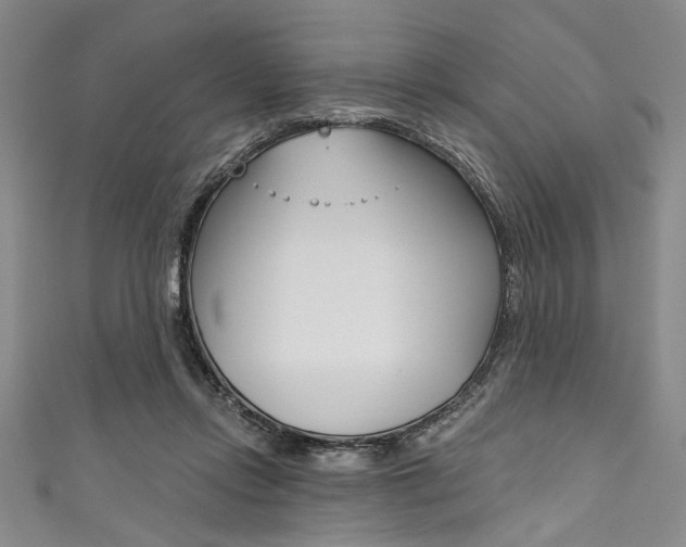 X0000111830358200907231027