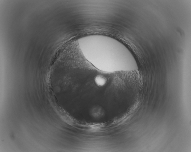 X0000111830359200907231027