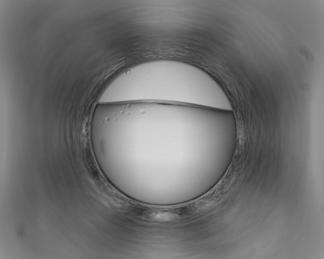 X0000111830360200907231027