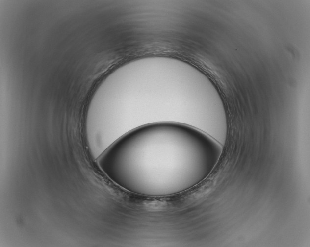 X0000111830362200907231027