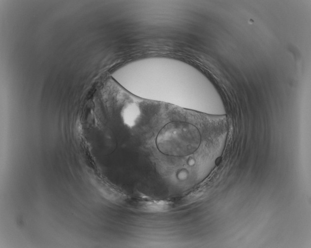 X0000111830363200907231027