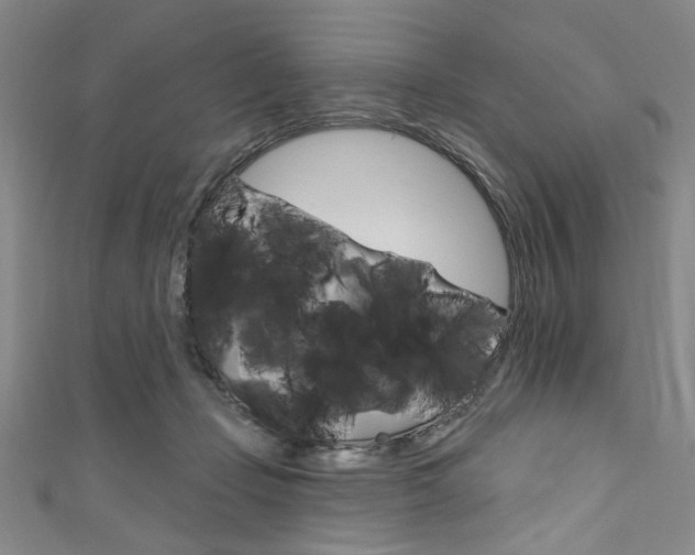 X0000111830365200907231027