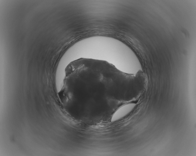 X0000111830367200907231027