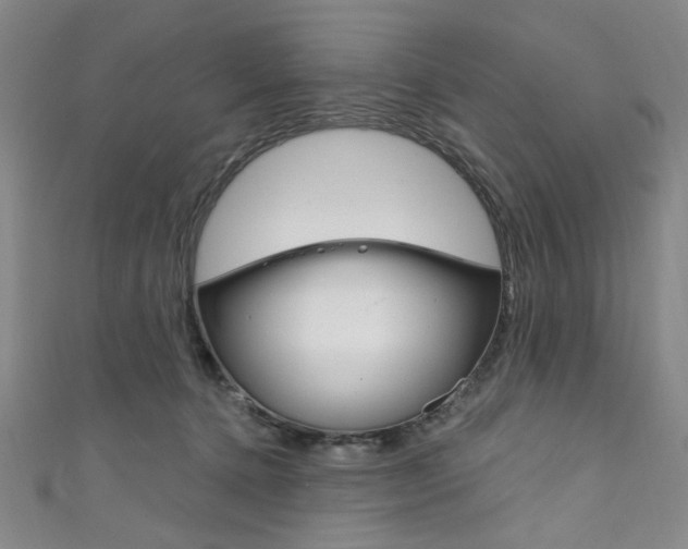 X0000111830368200907231027