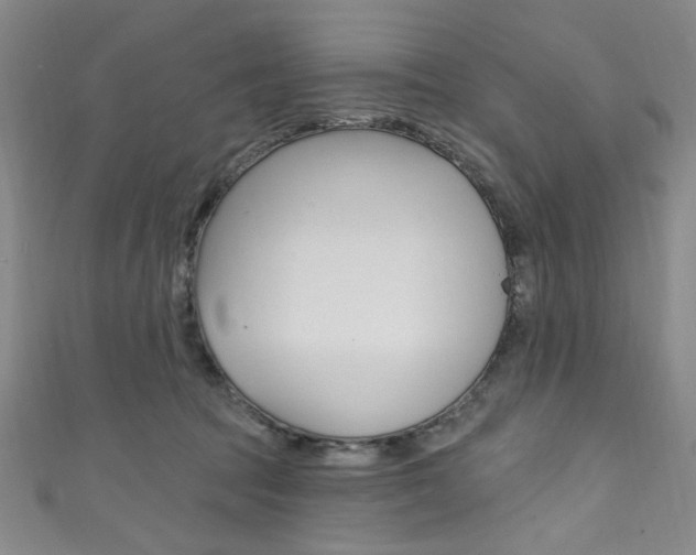 X0000111830369200907231027