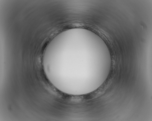 X0000111830373200907231027