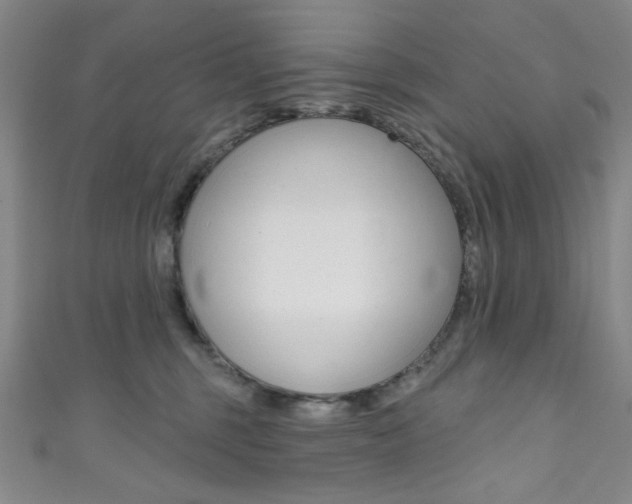 X0000111830375200907231027