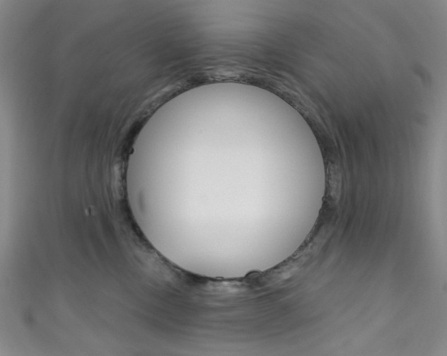X0000111830378200907231027